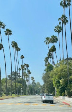 カリフォルニアの街路